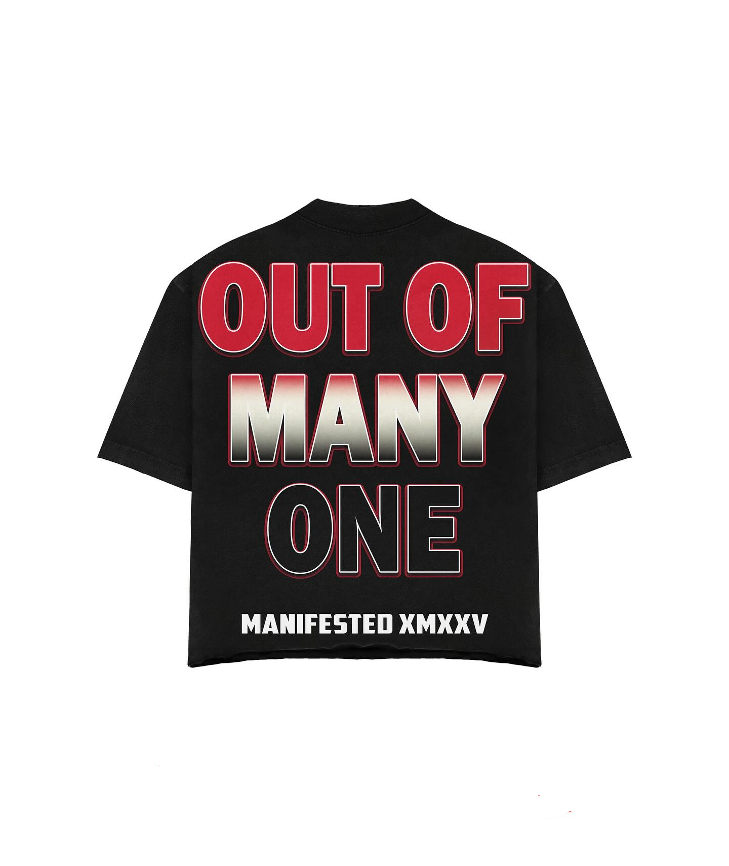 “Manifested Journey” – Unisex Y2K Graphic Tee | Kids & Adult Sizes | 100% Cotton | Harajuku Streetwear